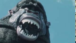 Gorilla in Caerphilly - WALES ON TELEVISION - NEW SERIES - MAY 23d