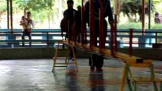 Circus on Monkey Island, Nha Trang (1/8)
