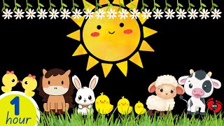 Cute & Fun Farm Animals | High Contrast Baby Sensory | Classic Nursery Rhymes