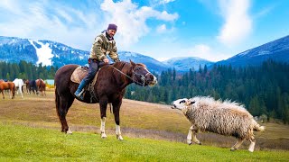 Living Wild in the Mountains: A Free Spirit's Life