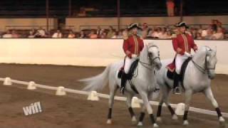 Behind the Scenes of the World Famous Lipizzaner Stallions