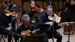 Drolls - Danza della Morte Nera / Salterelo III