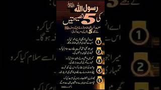 🌟 LIVE Quotes Session: Timeless Wisdom for Your Soul | Positive Vibes