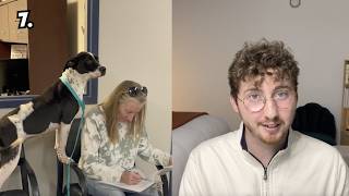 Top 5 Dogs of the Week!