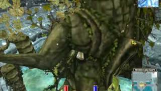 PristonTale, climbing Ice2 Tree