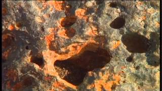 Planet Earth in Lounge Music: Vols 1-10 (7 hours, 44mins)