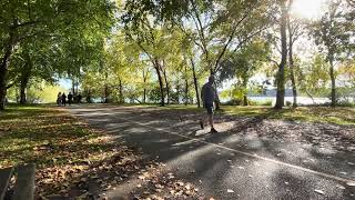 Greenlake Tree Grove in Autumn