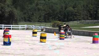 Orleton Pleasure Driving Show 2