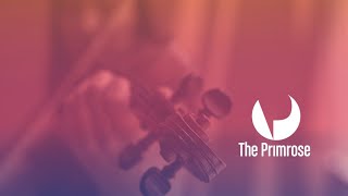 Primrose International Viola Competition: Quarter-Final Round, Day 1 (December 13,  Morning)