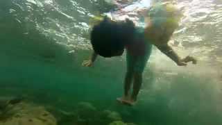 Dauin Marine Reserve & Sanctuary