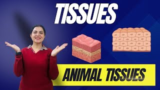 Class 9 Science: Animal Tissue - Epithelial & Connective Tissue Explained! 🐾🔬 #Biology #Tissues