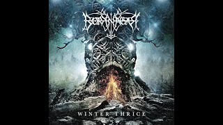 Borknagar Winter Thrice Vinyl Review