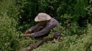 Ayuuk #1 by Arthur Couvat