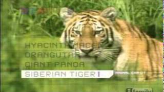 S Club 7 - Go Wild! Intro