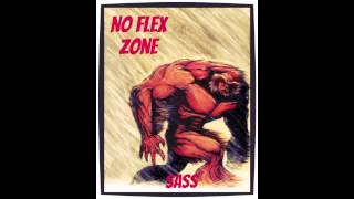 SASS - No Flex Zone (Cover)
