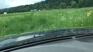 IMG 0427