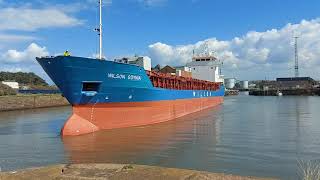 WILSON GDYNIA