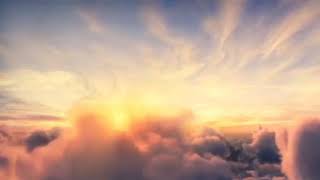 Relax and fall asleep beautiful music