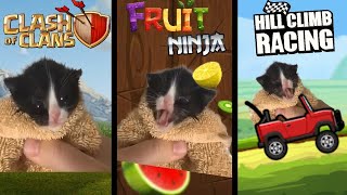 Kitten Meows but but in popular mobile games