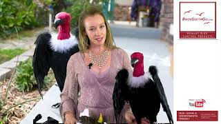 Vulture Effigy Birdsgottago