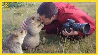 🐾 When Animals Completely Surprised Photographers 😂 | Funniest Animals & Humans