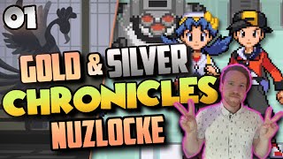 HEARTGOLD & SOULSILVER are about to be REPLACED by this ROMHACK |GSCHRONICLES Nuzlocke 01