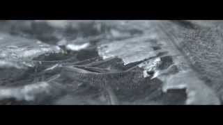 Lion Shepherd -  I'm Open (Lyric Video)