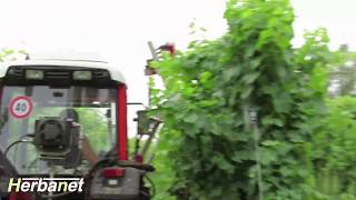 Telaio Cimatrice Filare - Mod. B | HERBANET [Mantovani]