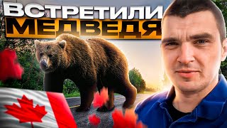 В поисках медведя! ШОК КОНТЕНТ! Черный медведь в парке где были люди!