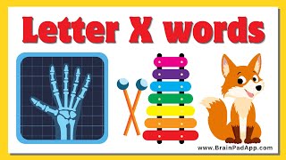 X letter words || Words that start with letter X || #abcd