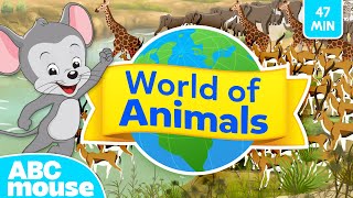 🐾 Explore the World of Animals 🌍 | 47 Minute Full Episode | Compilation for TV | ABCmouse for Kids