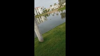 Live with Janet 30 Days of Healthy Living with Arbonne! Day 11