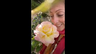 SoS: 🧚🌹For The Love of A Rose🧚🌹Shamanic Sensory Love Frequency❤️ (Poem⬇️)