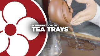 Intro to TEA TRAYS