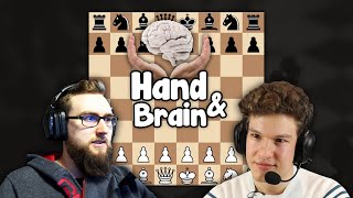 Wir probieren den Koop-Modus im SCHACH! | Niklas Steenfatt Stream Highlights