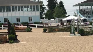 Billy’s Northern Star and Gracie Allen - Local Hunters at the 2019 Devon Horse Show