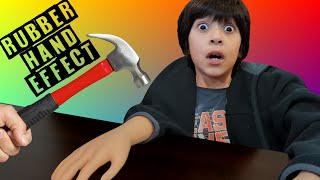 I almost LOST my HAND!   Rubber Hand Experiment
