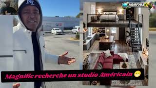 Magnific is looking for an American studio