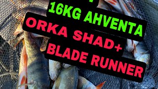 POTTUKOIRA KALASTAA 2022- JAKSO 7- 16KG AHVENTA- BLADE RUNNER + ORKA SHAD