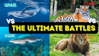 The Ultimate Battles | Tiger VS  Lion | Whale VS Shark