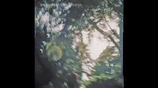 Spies - Distant Shorelines