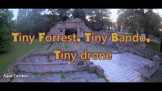 Alien Cowboy  - Tiny forrest, tiny bando, tiny drone