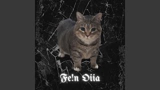 FE!N OIIA