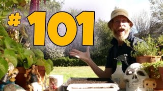 MML 101 Full Episode from April 14th