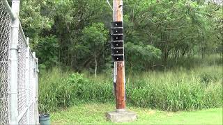 DSA Moanalua Valley Neighborhood Park 2-1-2024