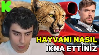 emirVici, ''DÜNYANIN EN HIZLI ARABASI ÇİTA'YA KARŞI!'' İZLİYOR!! @MrBeast @emirvici