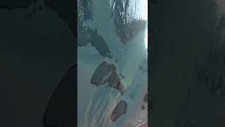 Trainer 15 swimspa