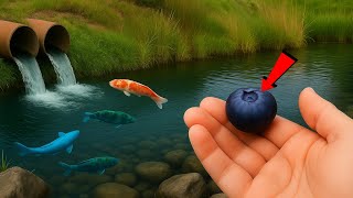 This Pond IS INFESTED With Monster Fish! (Sight fishing)