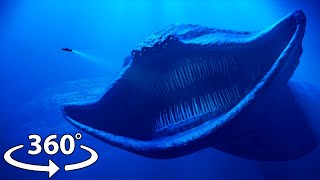 [8K] Sea Shin Sonic Tapes - First Encounter | 360º VR