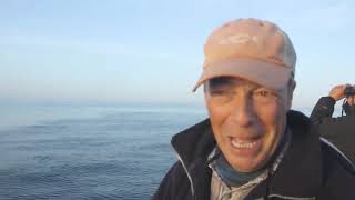 The French coastguard is watching Nigel Farage .............